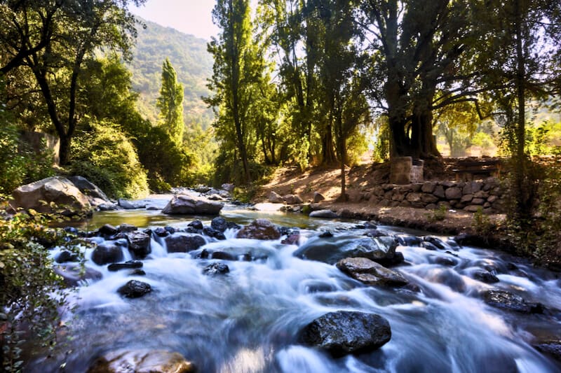 El estero recorre parte del parque y es uno de los principales atractivos. Créditos: Santuario de la Naturaleza El Arrayán.