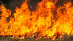 VIDEO | Así se ve el avance de un incendio forestal desde el Espacio