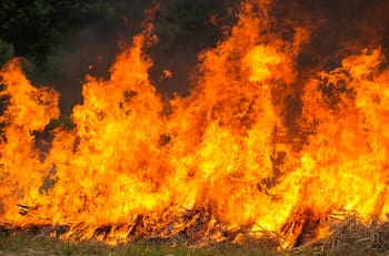 VIDEO | Así se ve el avance de un incendio forestal desde el Espacio
