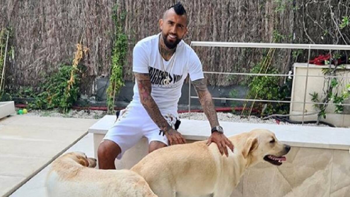 Arturo Vidal les regaló dos labradores a sus hijos