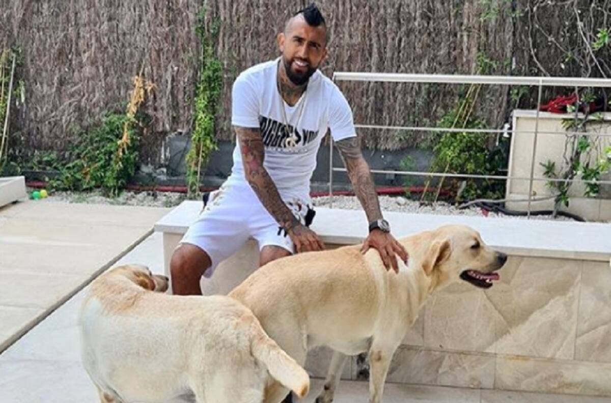 Arturo Vidal les regaló dos labradores a sus hijos