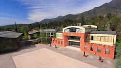 Sorpresivo cierre de colegio con 40 años de historia en la RM: 600 alumnos quedan en el aire