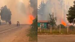 VIDEO | El incendio a metros de las casas: SENAPRED ordenó evacuación en este sector de La Araucanía