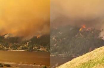 VIDEO | Incendio forestal en la Región del Bio Bio: Siniestro afectó a Santa Juana y Nacimiento