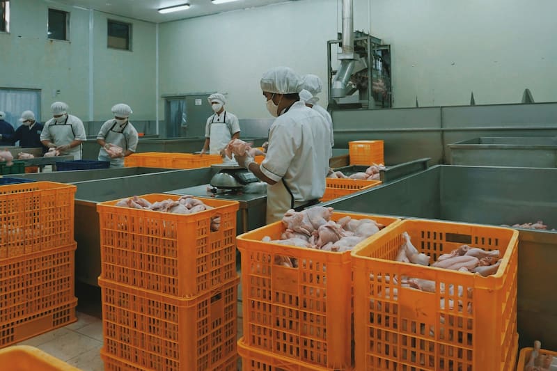 La empresa es la segunda avícola más grande del país, y ha cerrado contratos con el Estado por más de $25 mil millones desde 2018. Imagen referencial.