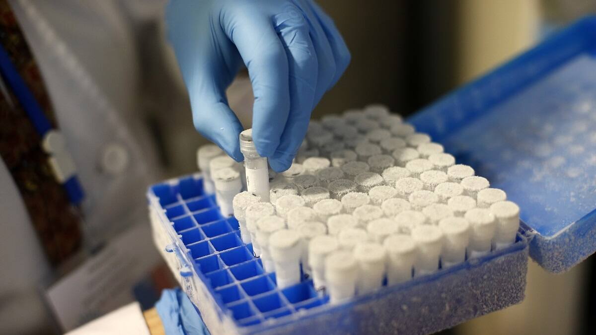 ¿Y en Chile cuándo? Unión Europea tendrá vacunas de Pfizer el 27 de diciembre