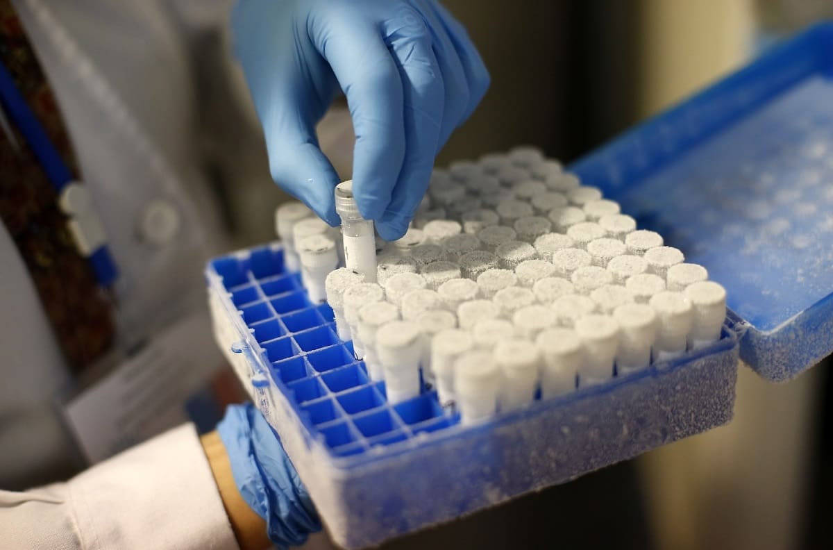 ¿Y en Chile cuándo? Unión Europea tendrá vacunas de Pfizer el 27 de diciembre