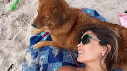 “Van a regalar un hijo”: Maura Rivera causó polémica tras publicar video sobre dar en adopción a su perro