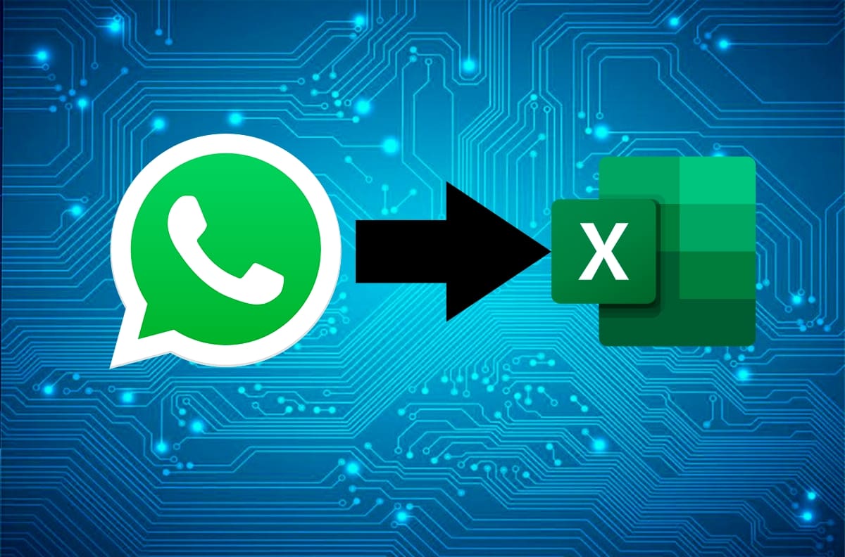 WhatsApp: conoce el sencillo proceso para exportar los contactos a una planilla Excel