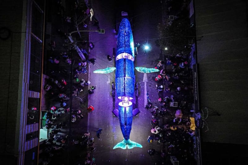 Este evento cuenta con un despliegue de figuras, luces y música, que invitan a reflexionar sobre el cuidado de nuestro ecosistema marino y el uso responsable del plástico.
Foto : Independencia.cl