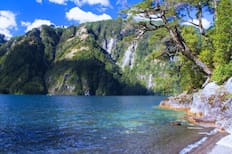 Cabañas Nancy Coñaripe: un refugio natural con salida a un gran lago y a solo 2 horas de Valdivia