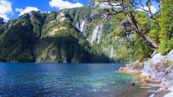 Cabañas Nancy Coñaripe: un refugio natural con salida a un gran lago y a solo 2 horas de Valdivia