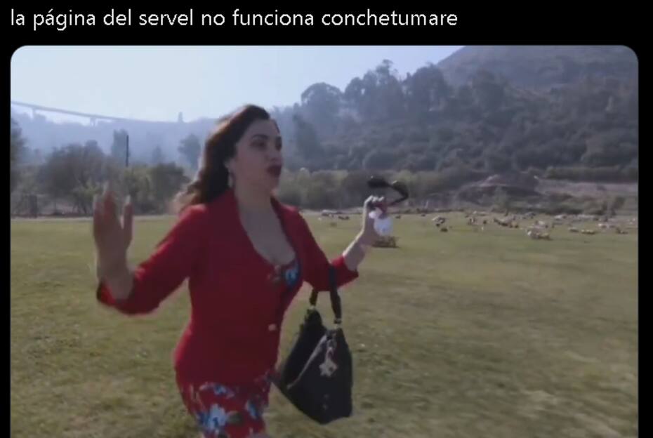 Los mejores memes de las elecciones 2024.