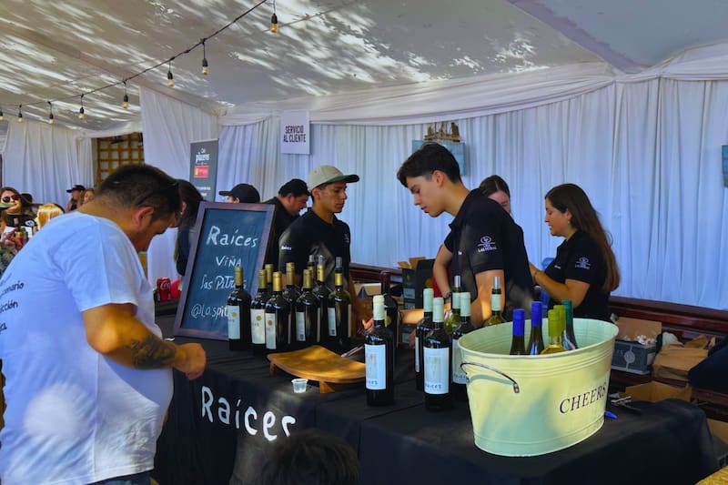 La experiencia permite probar distintas degustaciones de los mejores vinos del Maule. Créditos: Tren del Recuerdo.