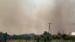 VIDEO | Así se ve el incendio forestal en Valparaíso: hay Alerta Roja y llamado de evacuación