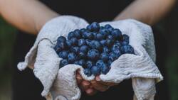 No es solo agua: Esta es la forma correcta de lavar los arándanos y eliminar la mugre y pesticidas