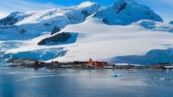 Gran impulso para Chile: aprueban estudio para cable submarino de fibra óptica que conectaría con la Antártica