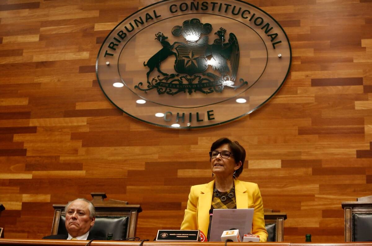 Tribunal Constitucional rechazó inhabilitar a María Luisa Brahm y podrá votar el Tercer Retiro AFP