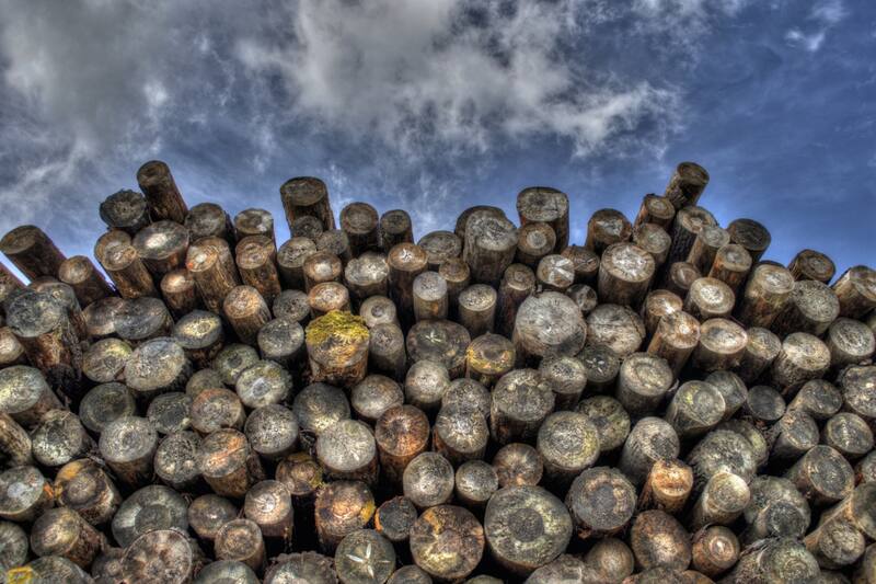 Conoce los detalles del aporte.