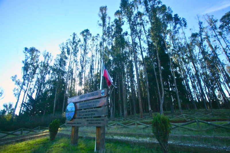 El entorno natural y su cercanía con la capital convierten al atractivo en un destino ideal para desconectarse. Créditos: Conaf.