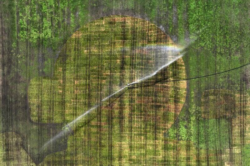 Así lucía el césped del Estadio Santa Laura a inicios de marzo. Agencia Aton