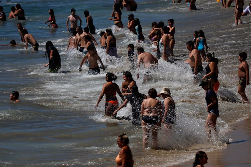 Debido a la presencia de esta especie, se ha debido prohibir el baño en varios balnearios de la zona central en plena temporada estival. Imagen referencial. Créditos: Raul Zamora/Aton Chile.