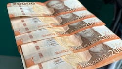 Mujeres de Chile podrán recibir $44.000 en mayo: estos son los requisitos del beneficio de Sence