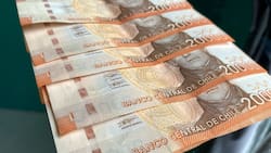 Consulta con tu RUT si puedes recibir $21.000 de forma automática por cada uno de tus hijos