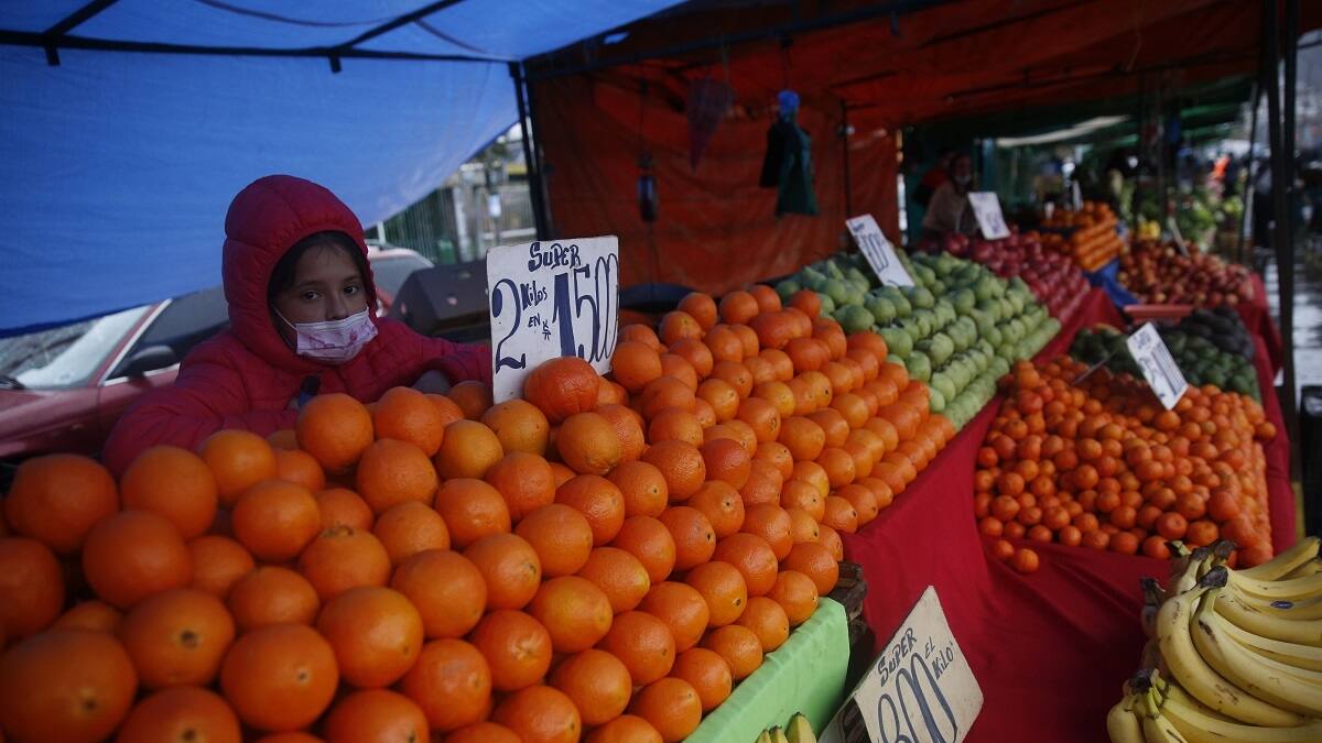 Bono alivio Pymes y feriantes: ¿Cómo postular y cuándo se paga?