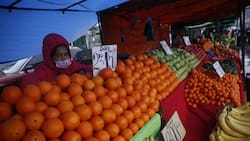 Bono alivio Pymes y feriantes: ¿Cómo postular y cuándo se paga?