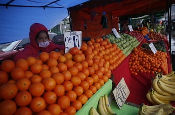 Bono alivio Pymes y feriantes: ¿Cómo postular y cuándo se paga?