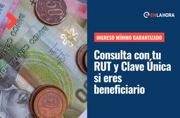 Ingreso Mínimo Garantizado: Revisa con tu RUT y Clave Única si eres beneficiario de este subsidio