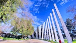 ¡Pocos lo conocen!: este parque tiene laguna, esculturas gigantes y se puede visitar gratis en Santiago