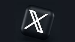 Estos son los memes que dejó la caída mundial de X este lunes