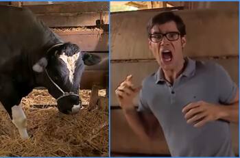 "Había gente lanzando paja para dar el efecto": Daniela Ramírez recordó la cómica escena del toro de la teleserie "Amanda"