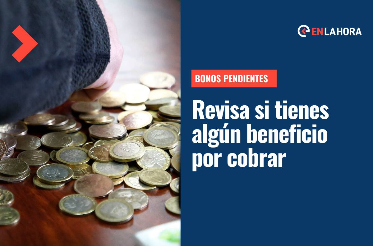 Bonos Pendientes de cobro: Conoce si tienes algún beneficio que no has recibido solo con tu RUT