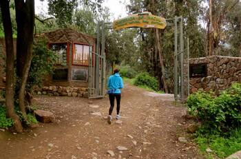 Parque Quebrada de Macul: Conoce cómo llegar y qué lugares puedes visitar