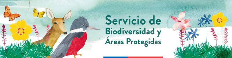 El Servicio de Biodiversidad y Áreas Protegidas es del Ministerio del Ambiente.