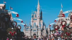 VIDEO | No todo es felicidad: Intensa pelea entre dos familias en Disney World dejó un hospitalizado