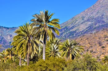 A una hora de Santiago: uno de los mejores parques para visitar este primer fin de semana de otoño