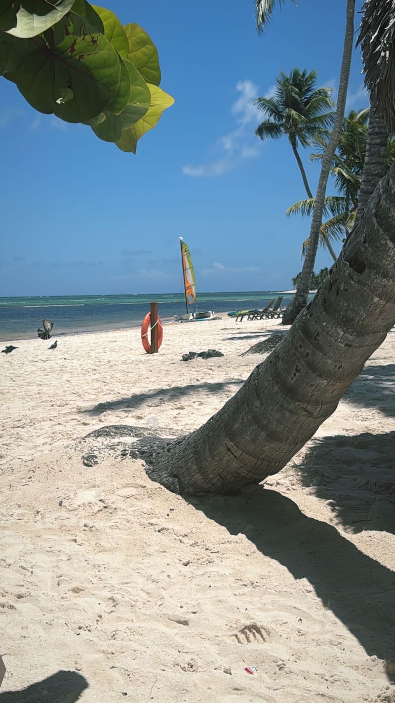 La vista que compartió el famoso.