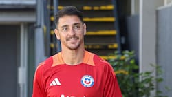 Fernando Zampedri suma méritos para regresar a la Selección Chilena: ¿Merece volver a La Roja?