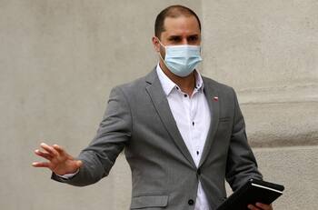 Extensión del postnatal: Segegob asegura que se está evaluando el proyecto del FA