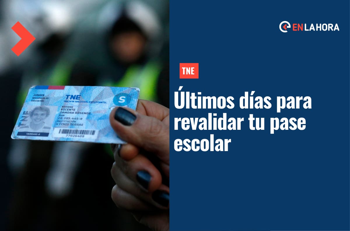TNE: Revisa hasta cuándo tienes plazo para revalidar tu tarjeta y evitar pagar la tarifa completa