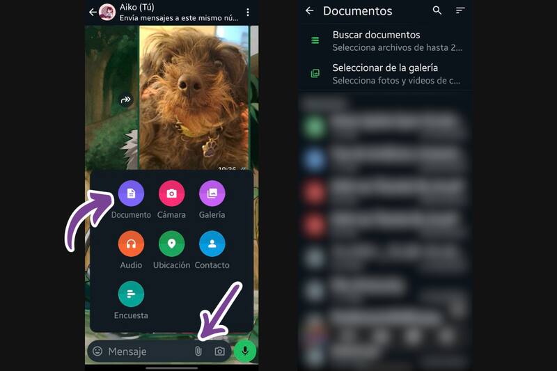 Podrás buscar el archivo a enviar directamente desde tu galería o entre todos los documentos del teléfono.