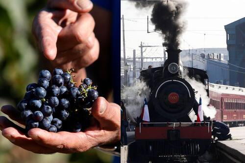 Nuevo recorrido del Tren del Recuerdo te llevará a la Fiesta de la Vendimia de El Monte