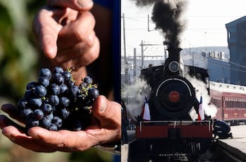 Nuevo recorrido del Tren del Recuerdo te llevará a la Fiesta de la Vendimia de El Monte