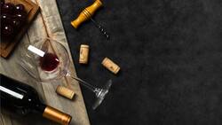 Feria gratuita del vino en la Plaza Ñuñoa: ¿Cuándo será?