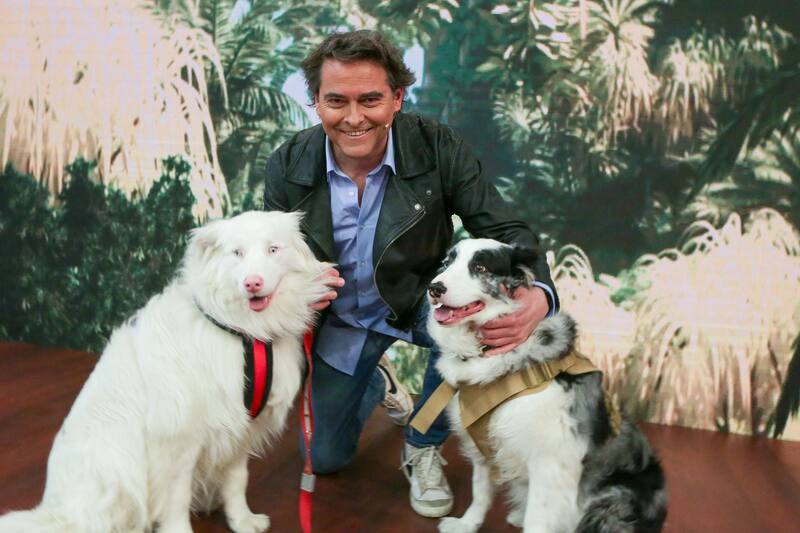 debuta con nuevo programa en TVN