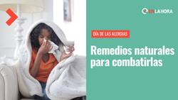 Día de la Alergia: Con estos remedios naturales podrás combatir las alergias estacionales